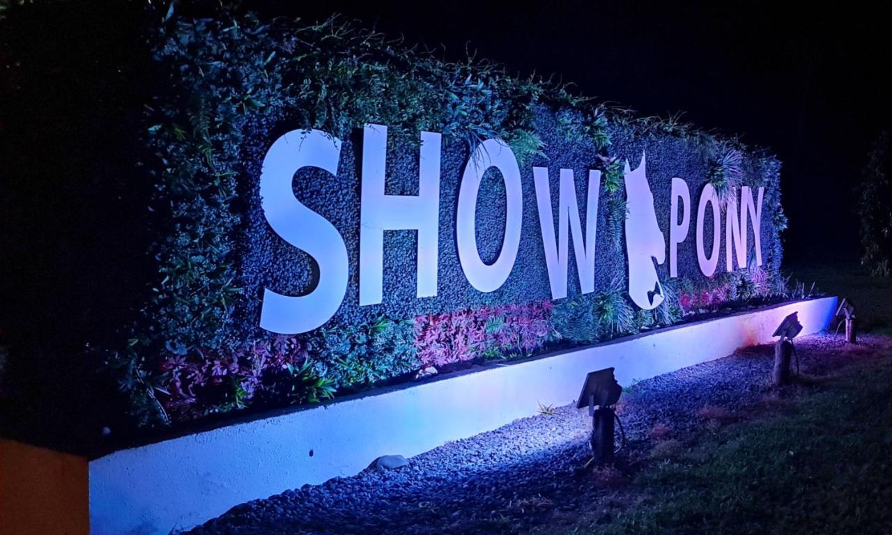 Show Pony Beach Resort And Suites Las Lajas  Extérieur photo