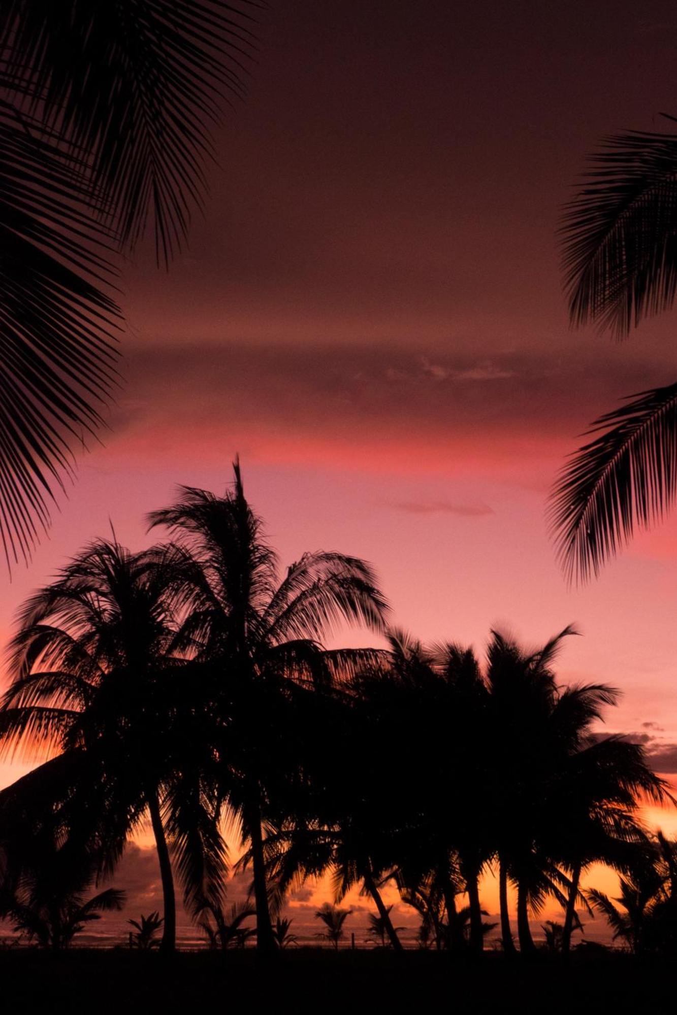 Show Pony Beach Resort And Suites Las Lajas  Extérieur photo