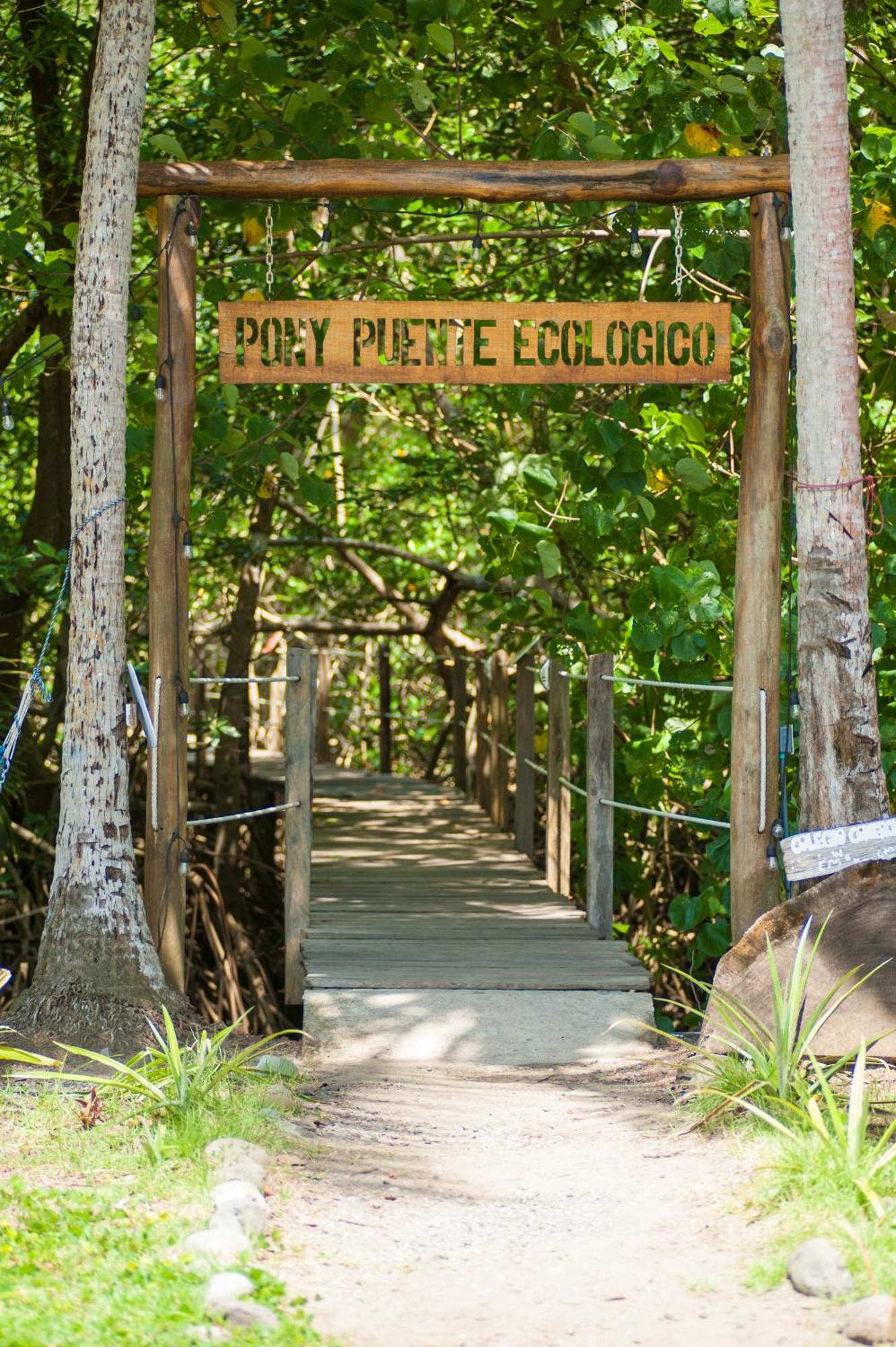 Show Pony Beach Resort And Suites Las Lajas  Extérieur photo