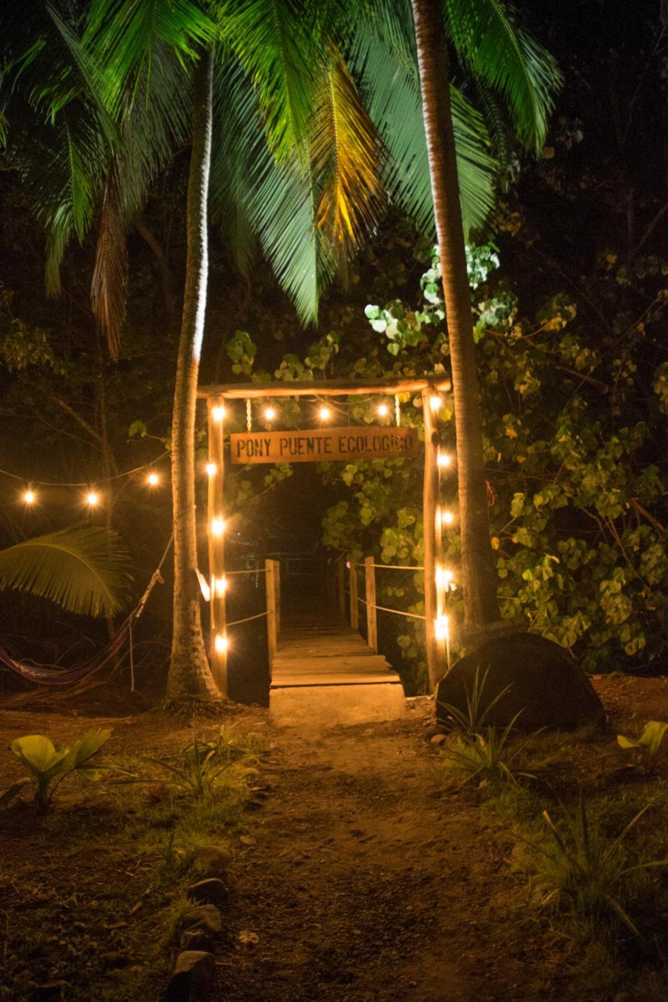 Show Pony Beach Resort And Suites Las Lajas  Extérieur photo