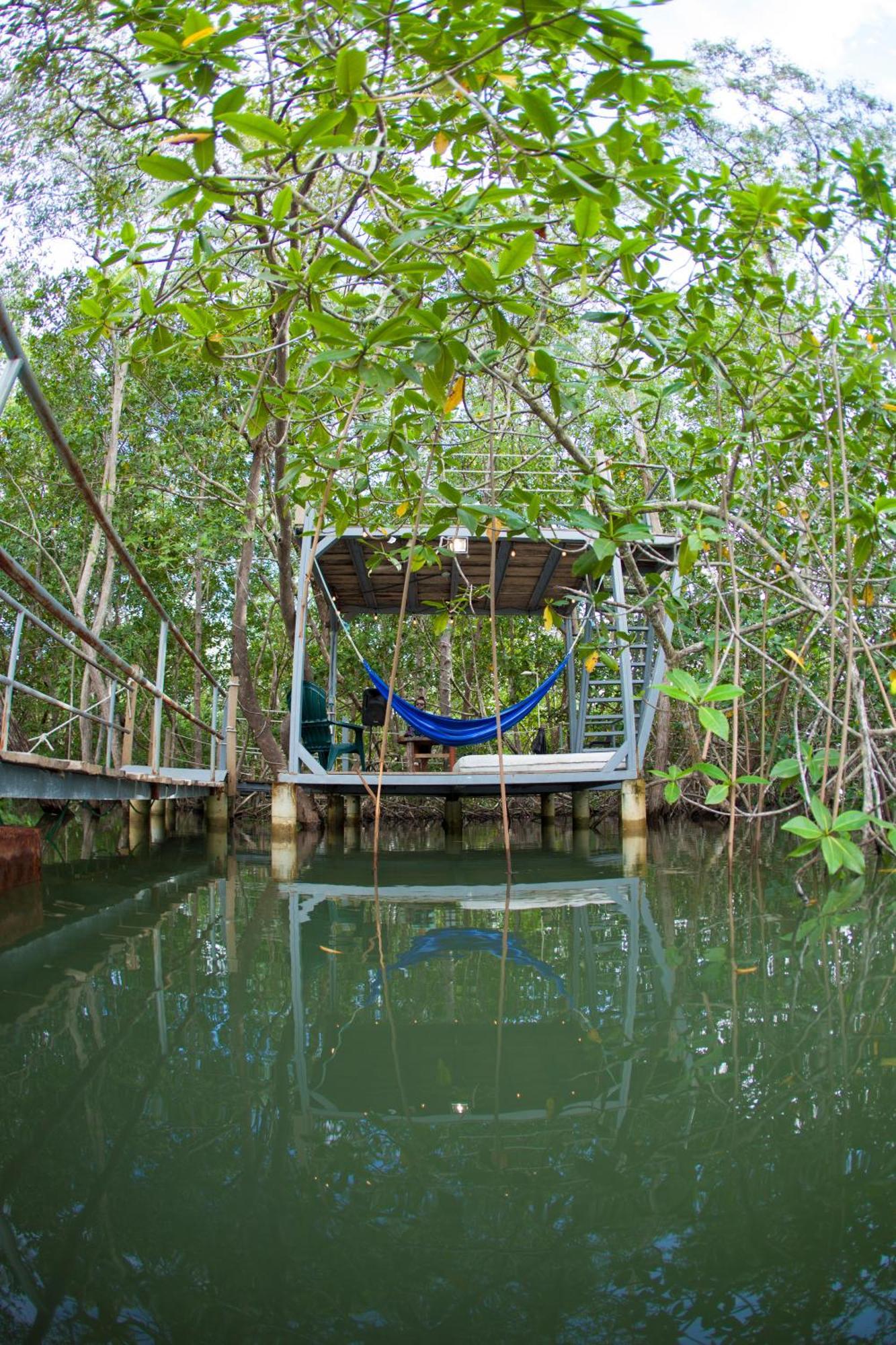 Show Pony Beach Resort And Suites Las Lajas  Extérieur photo