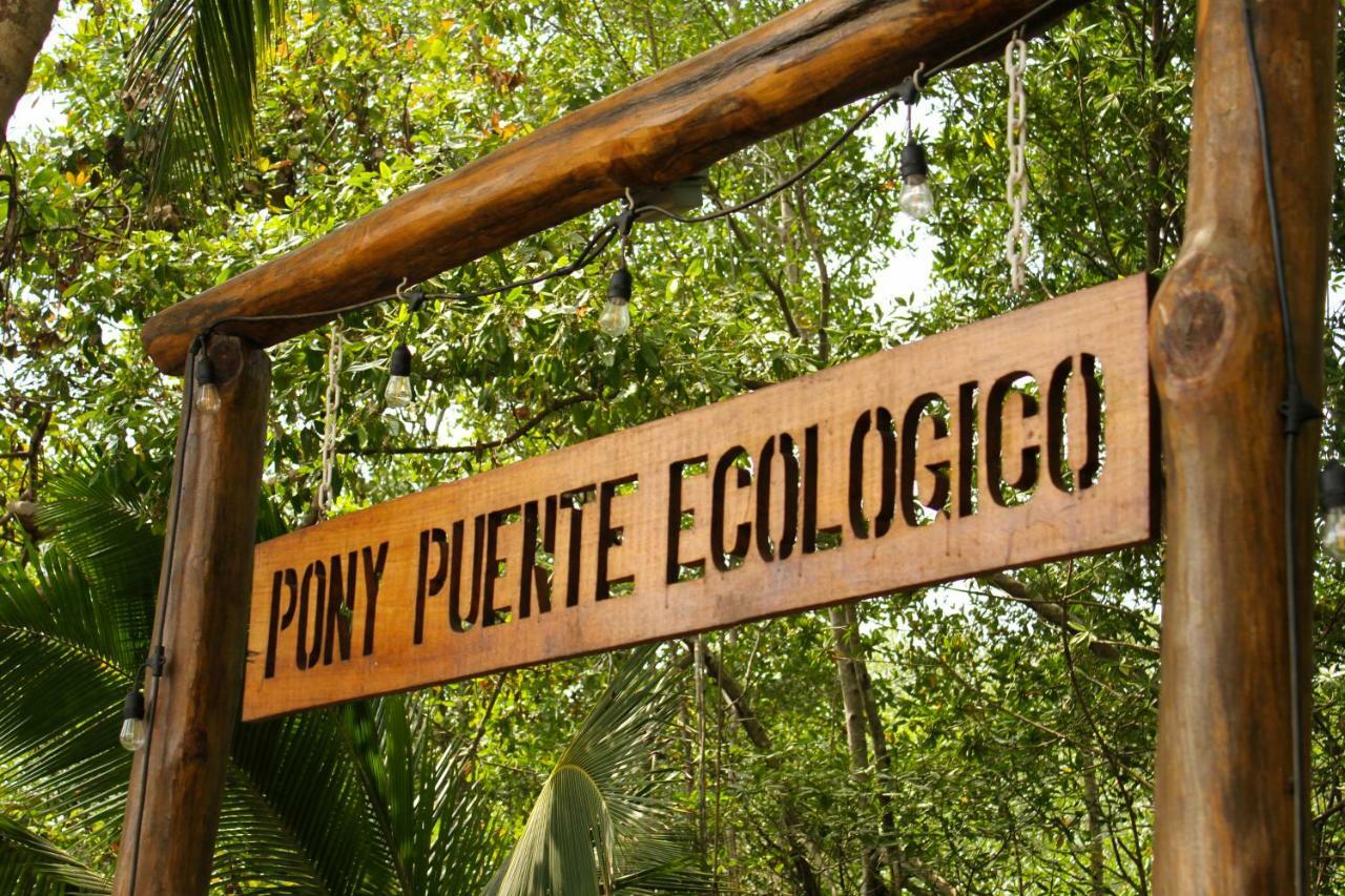 Show Pony Beach Resort And Suites Las Lajas  Extérieur photo